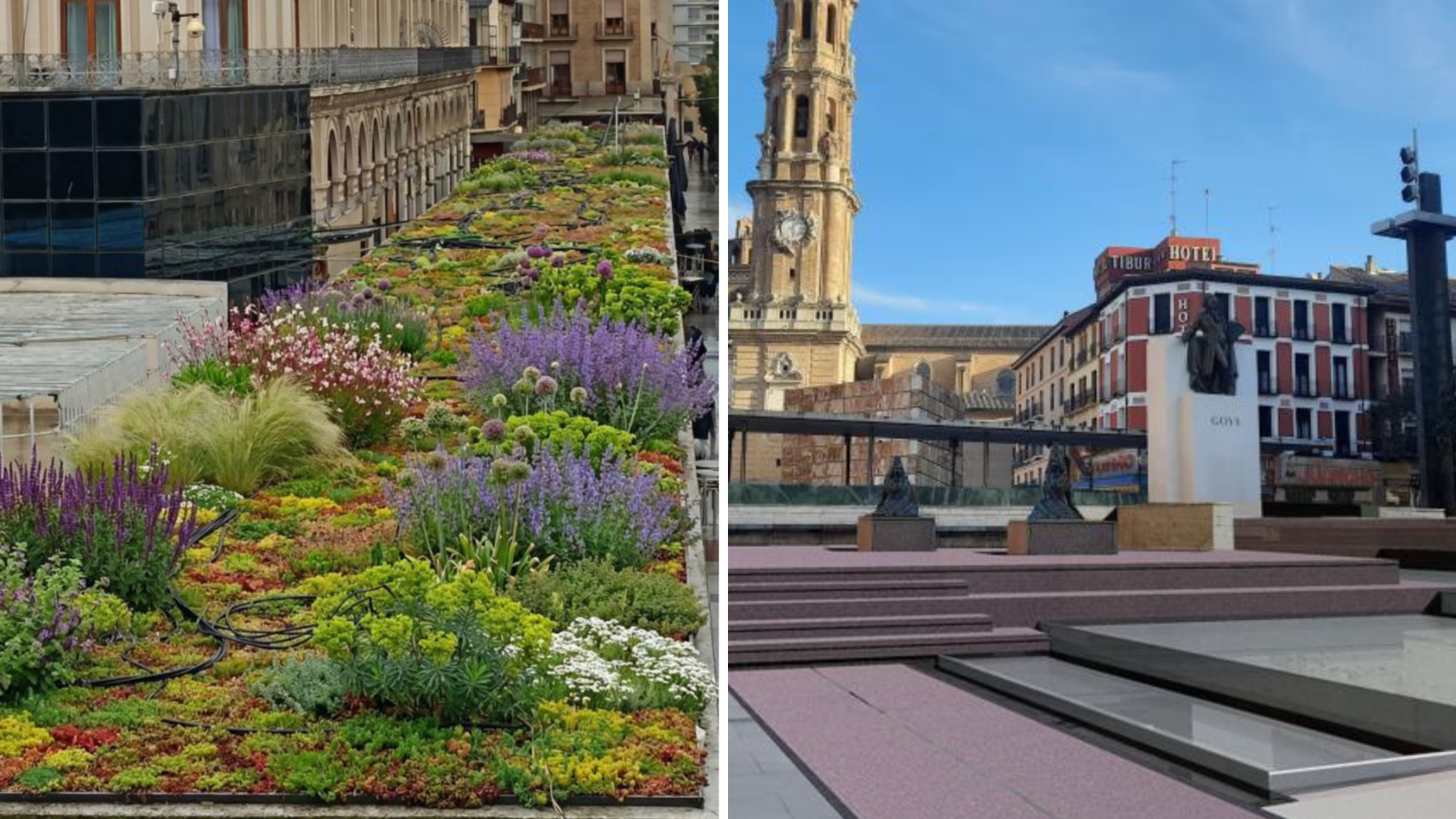Recreaciones de diferentes puntos de la plaza del Pilar, tras la reforma.