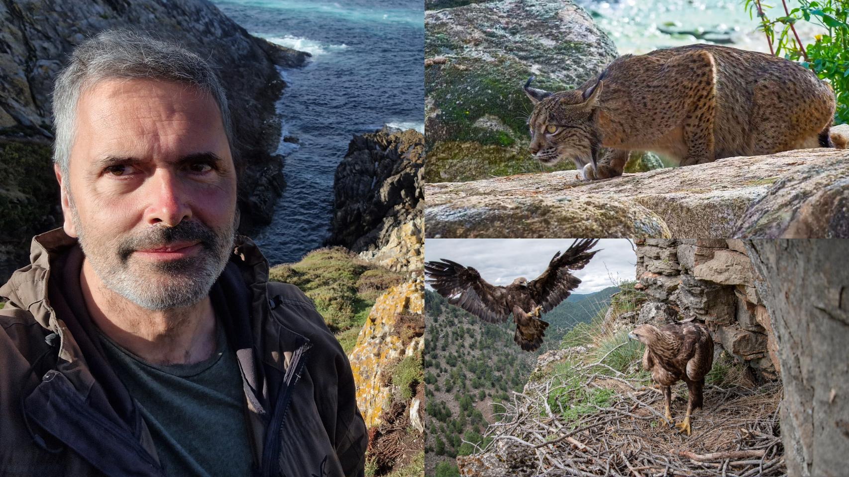Alfonso García Ávila de Directo Natura en un montaje de fotos con uno de los nidos de águila real y una lince preñada filmados.