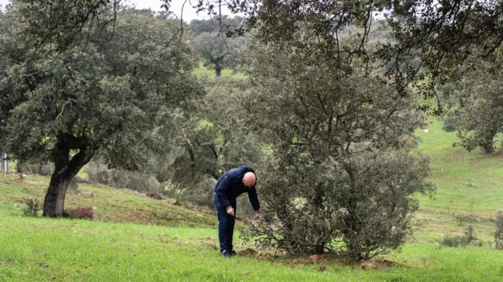 Toño Pérez en la Dehesa, de donde saca su inspiración.