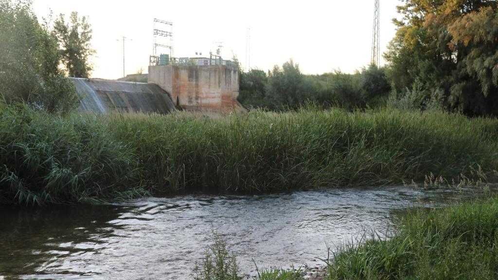 La presa de Baños de Cerrato (Palencia), lugar donde tuvo lugar la tragedia.
