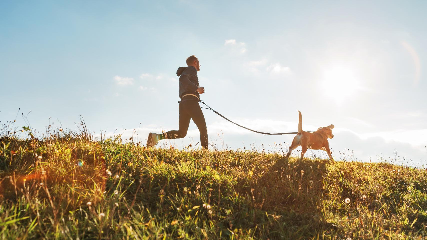 Perro y humano corriendo.