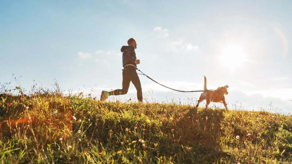 Perro y humano corriendo.
