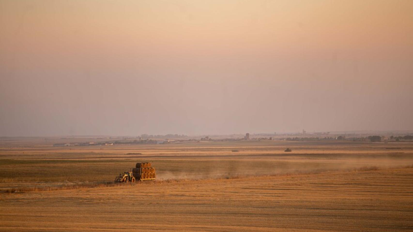 Tierra de cultivo de cereal en Tierra de Campos. 