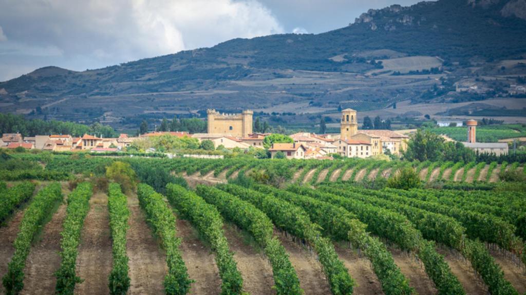 Viñedos de Sajazarra.
