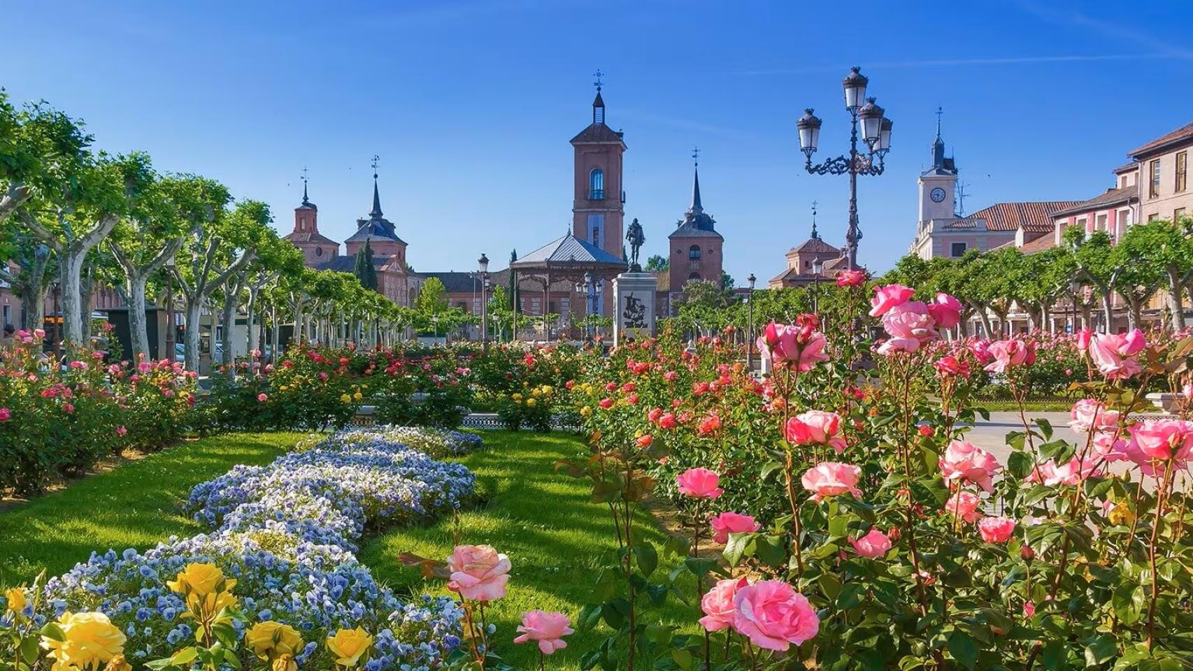 Alcalá de Henares.