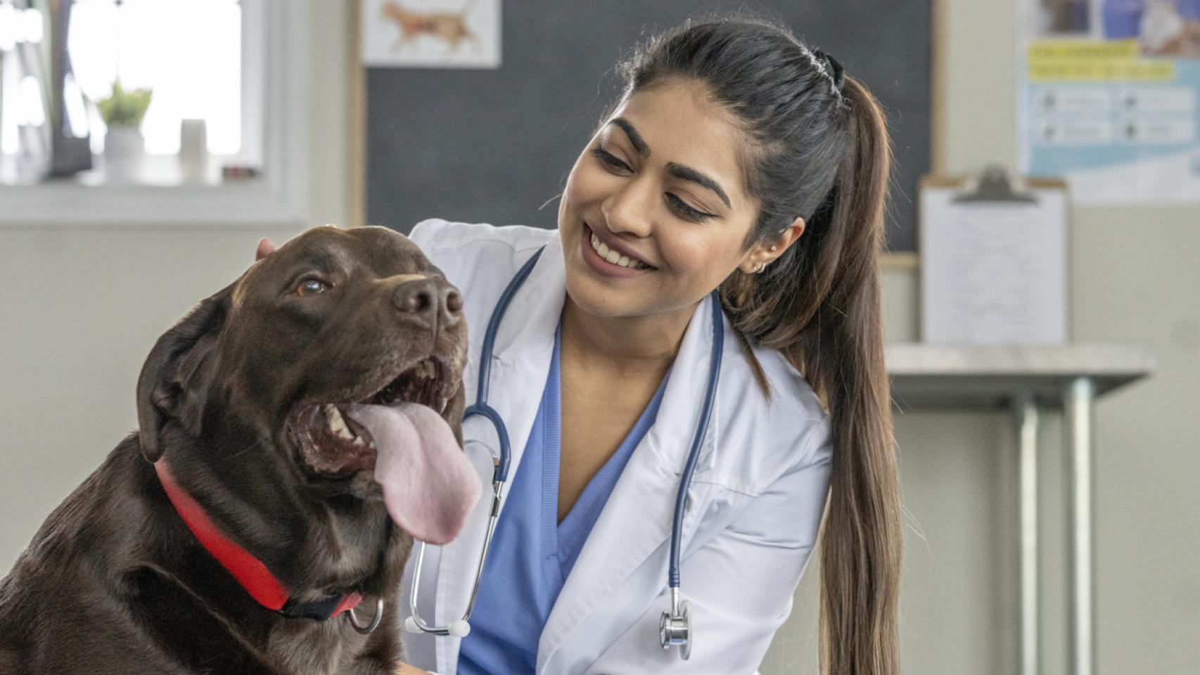 Una veterinaria con un perro.