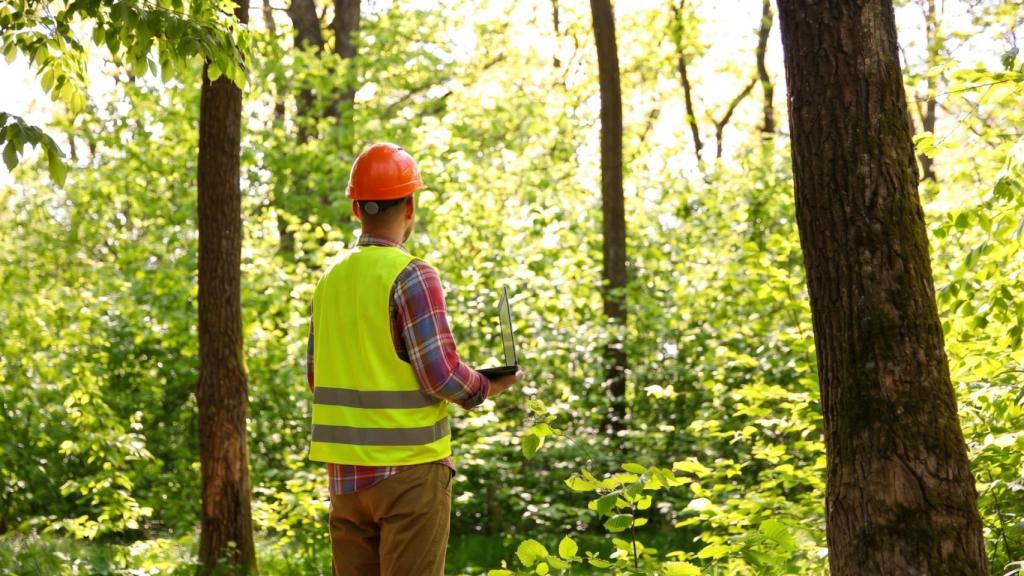 Un técnico forestal