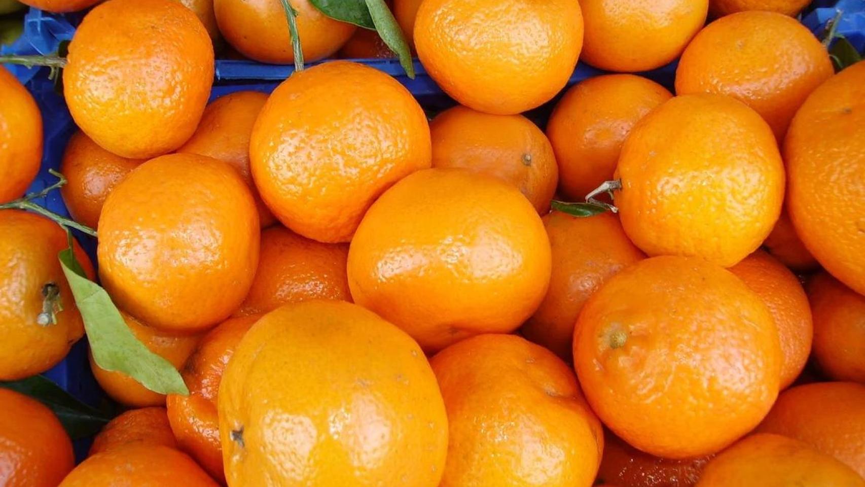 El Gobierno recurrirá a fondos propios para garantizar el origen nacional de la fruta en los colegios de Aragón.