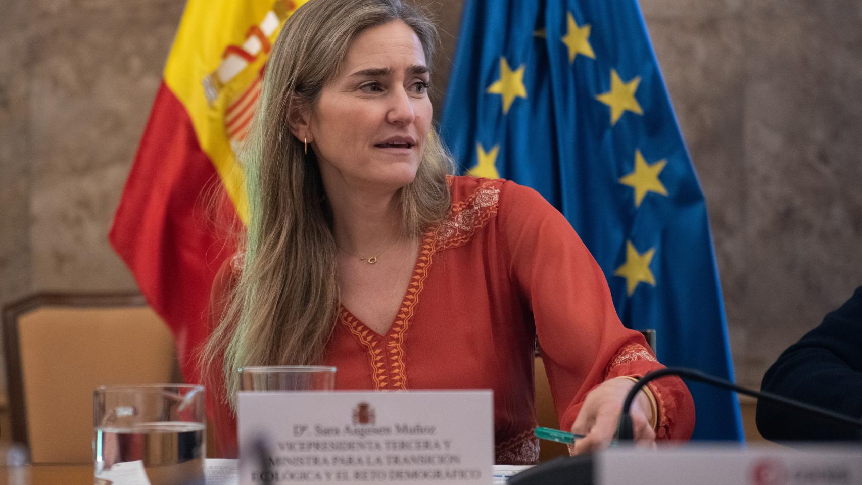 La vicepresidenta y ministra para la Transición Ecológica y el Reto Demográfico, Sara Aagesen.