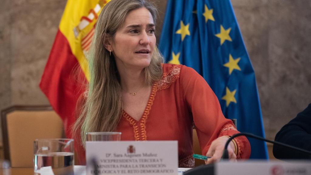 La vicepresidenta y ministra para la Transición Ecológica y el Reto Demográfico, Sara Aagesen.
