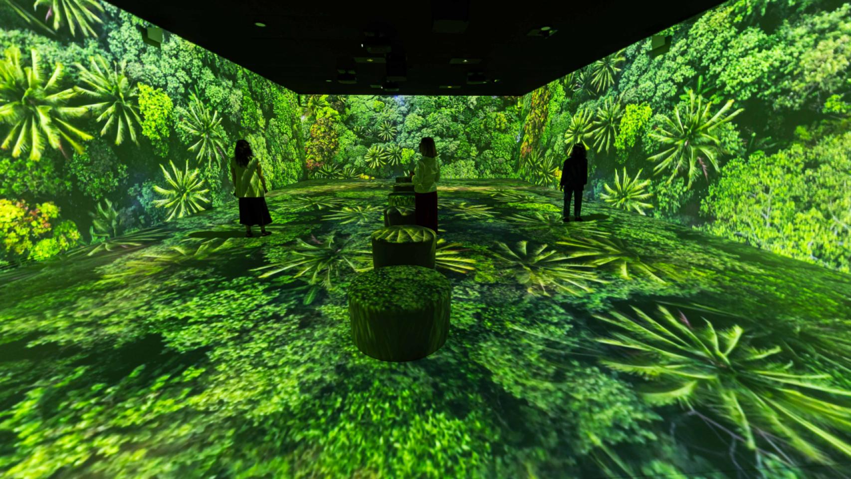 Vista de la exposición 'Somos Naturaleza'. Foto: Fundación la Caixa