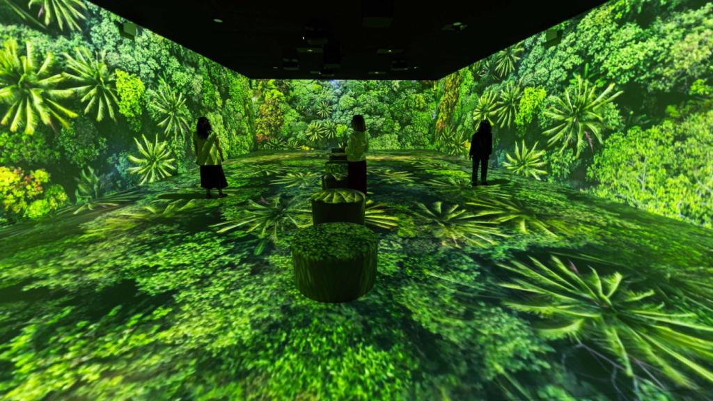 Vista de la exposición 'Somos Naturaleza'. Foto: Fundación la Caixa