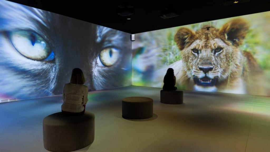 Una sala de la exposición. Foto: Fundación la Caixa