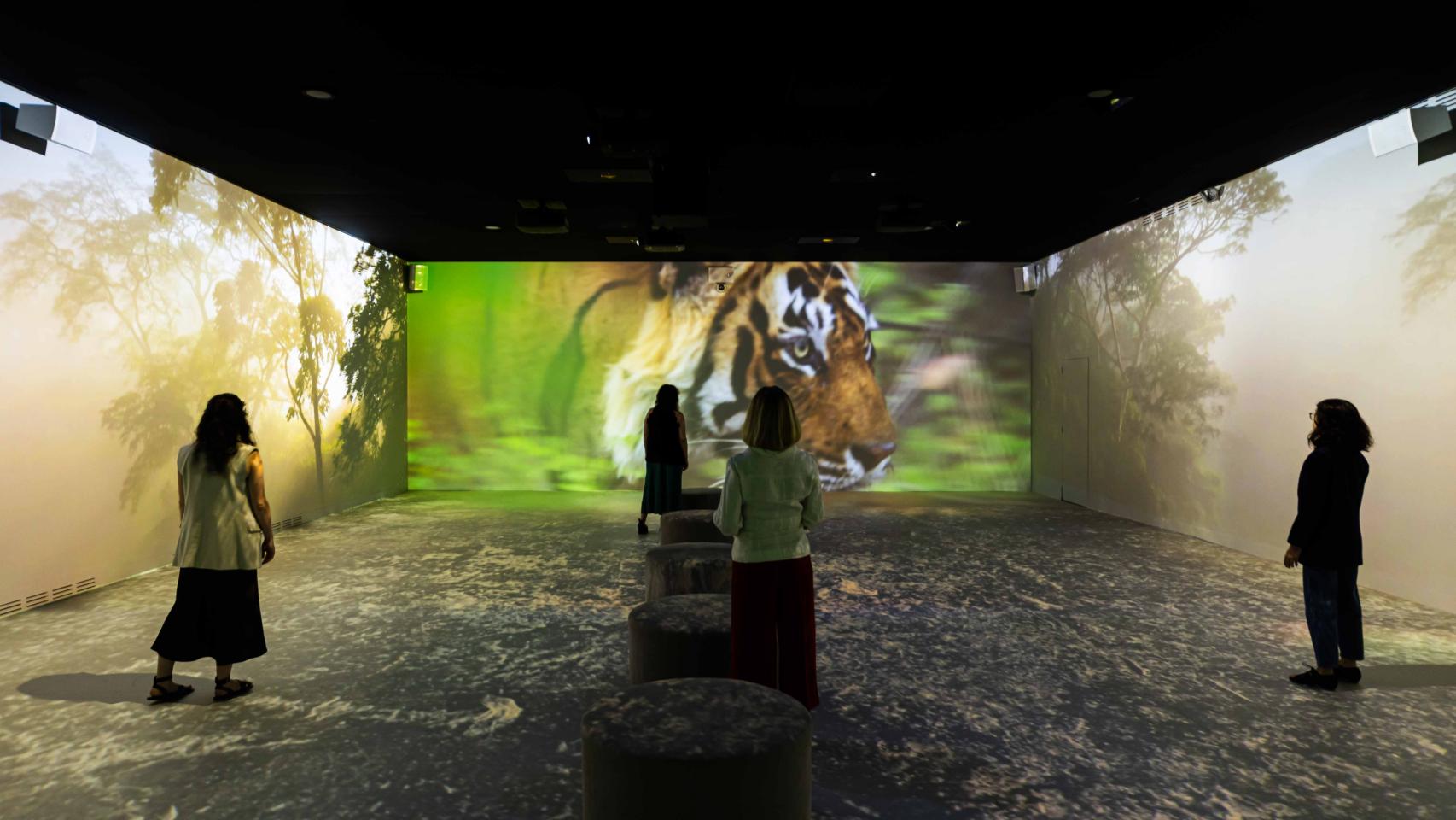 Imagen de la primera sala de la experiencia inmersiva 'Somos Naturaleza' en CaixaForum Madrid.
