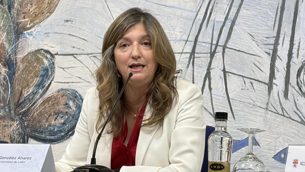 Nuria González, rectora de la ULE, durante la rueda de prensa 