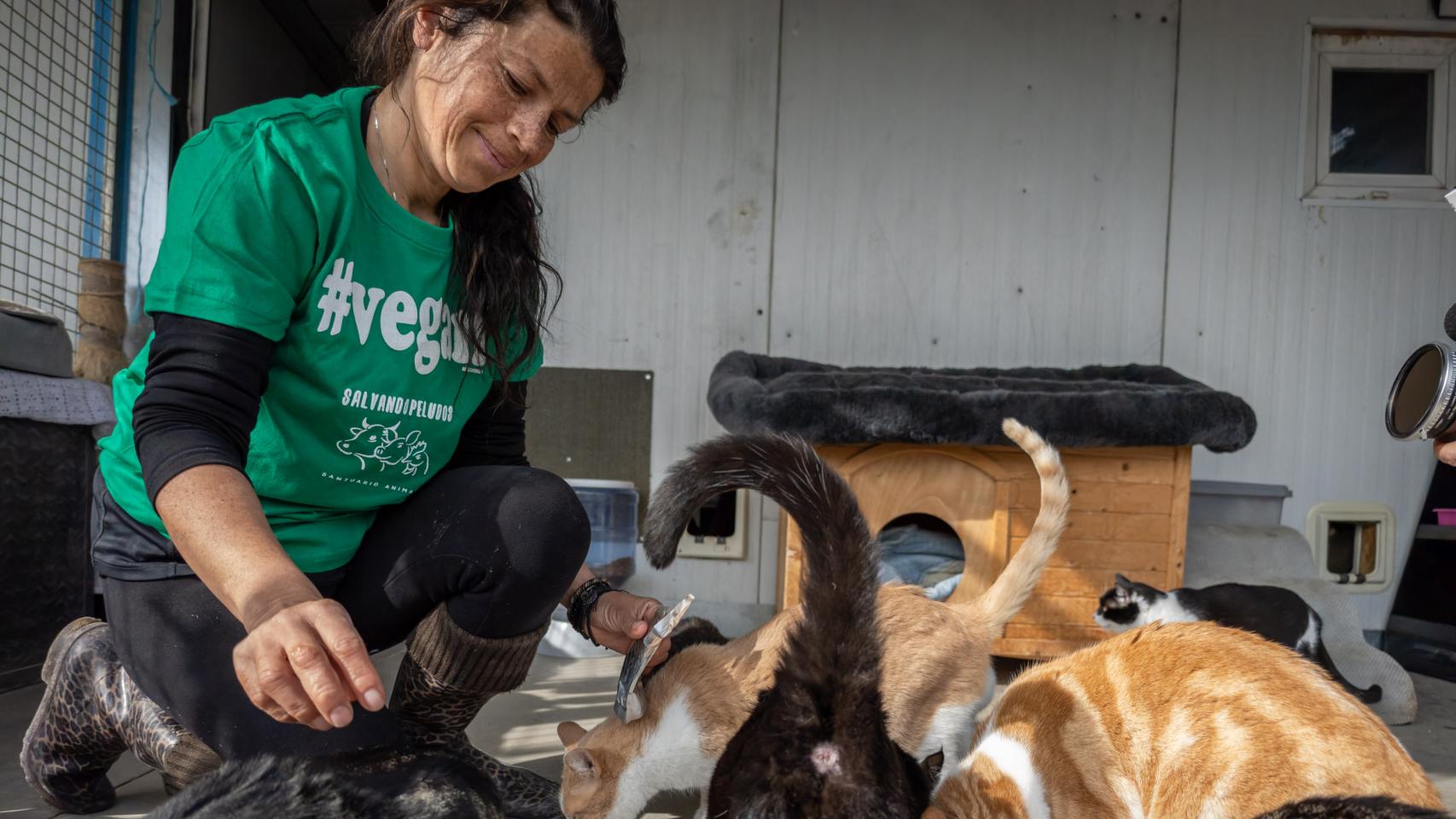 Una mujer con gatos en Salvando Peludos. 