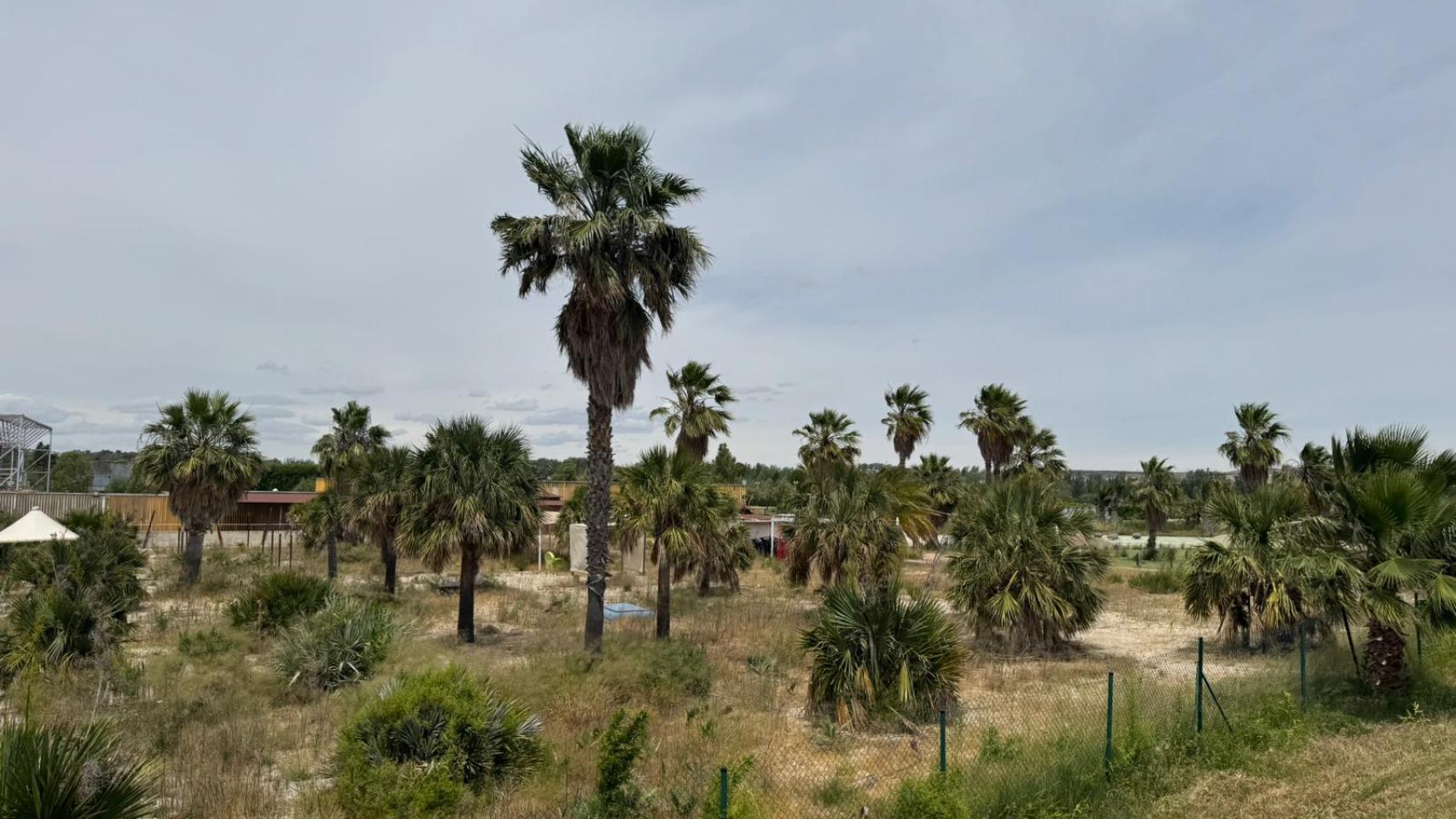 Las playas de Zaragoza, en la actualidad.
