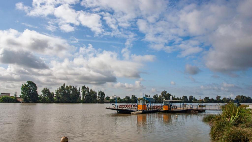 Un ferry cruza el río Guadalquivir a su paso por Coria del Río.