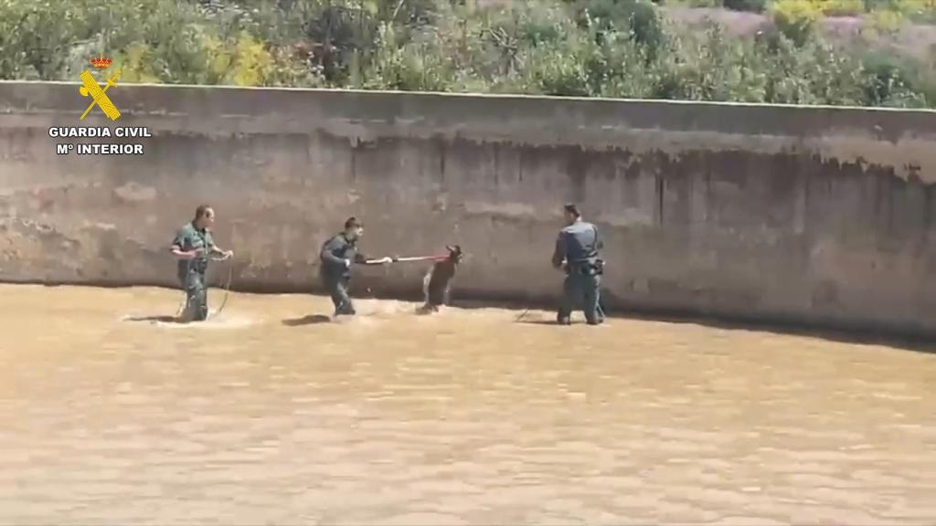 El rescate de la cabra.