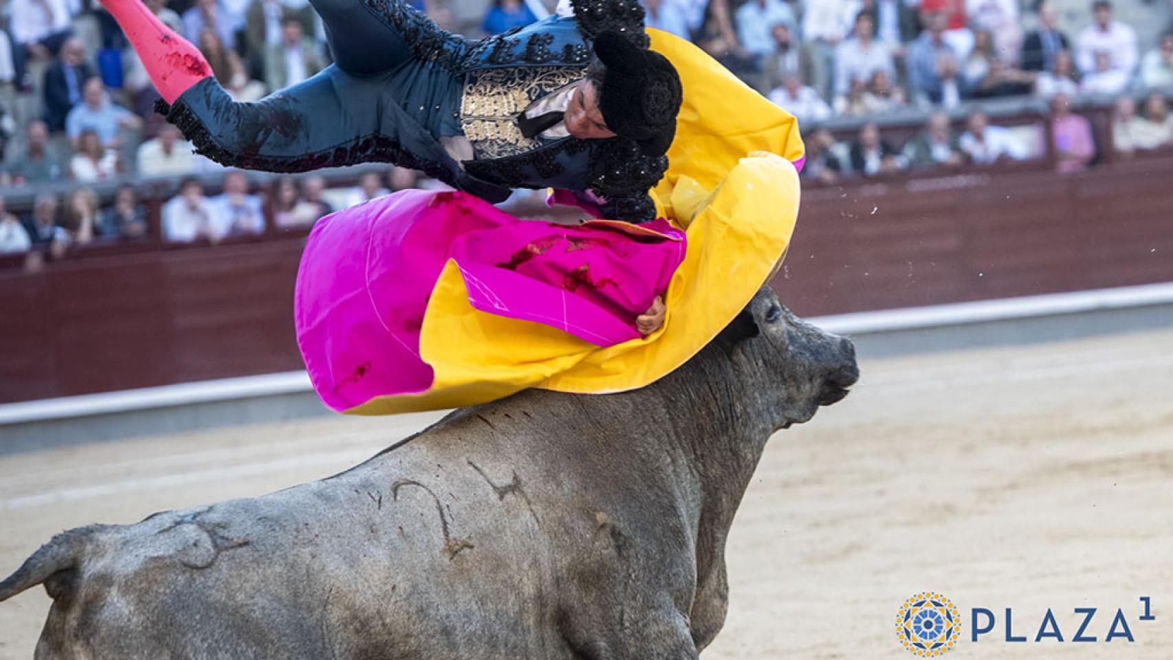Cogida a Rubén Sánchez en la Plaza de Toros de Las Ventas de Madrid.