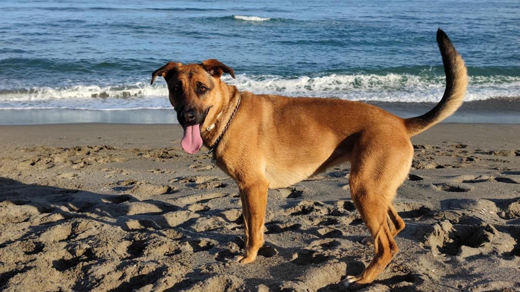 Ella, en la playa. 