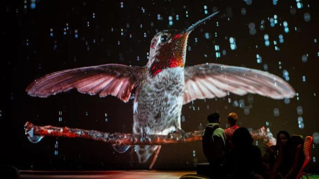 Visitantes en una sala de 'Somos Naturaleza'. Foto: Fundación la Caixa