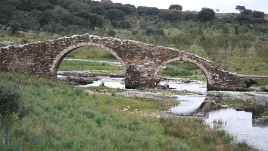 Puente Caserones, en Torrecilla de la Tiesa.