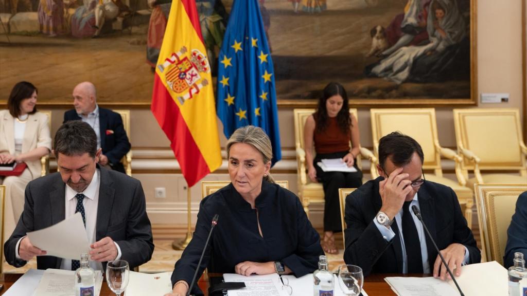 La ministra de Educación, Formación Profesional y Deportes, Milagros Tolón (c), durante la Conferencia Sectorial de Educación este miércoles. 