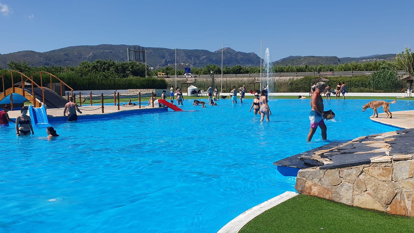 Trust Resort Canino