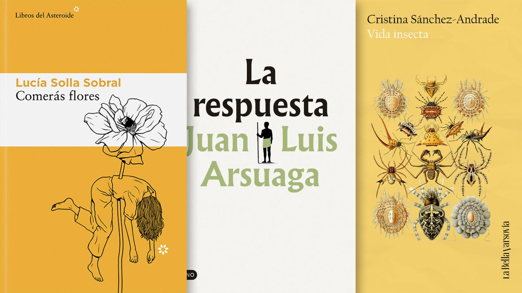 Los libros más vendidos en Ficción, No Ficción y Poesía.
