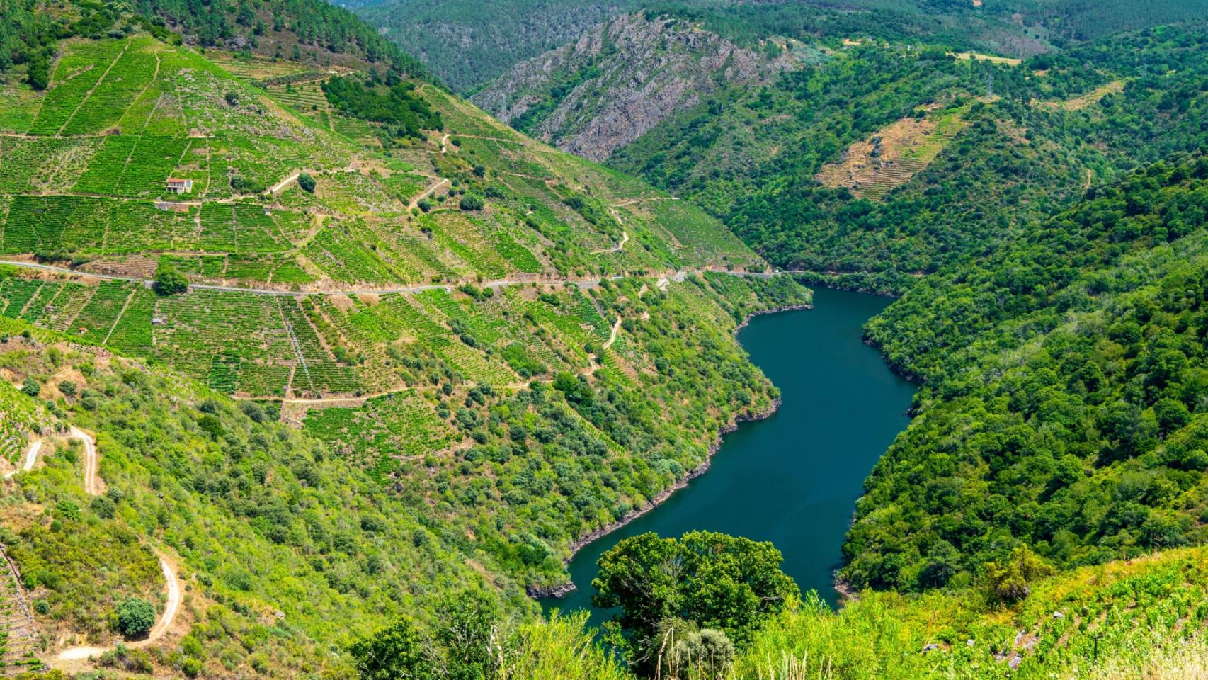 Ribeira Sacra, entre las provincias de Lugo y Ourense