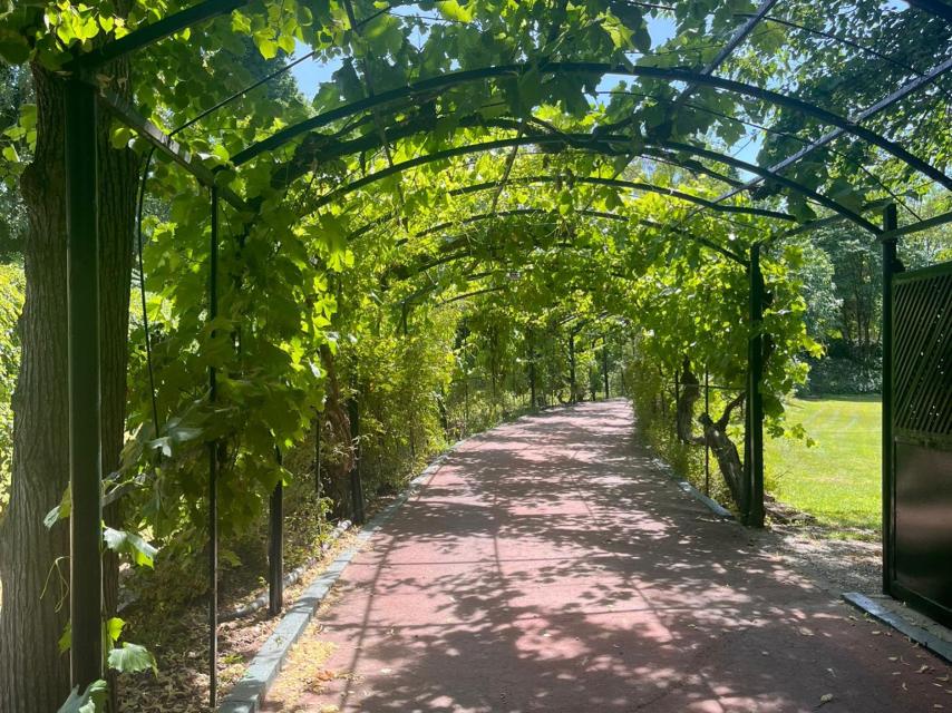 Entrada a la finca de la familia Trapote.