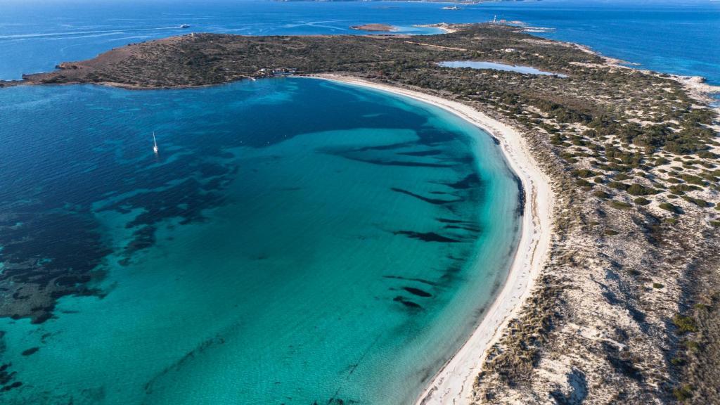 Playa de S'Alga en la isla de Espalmador