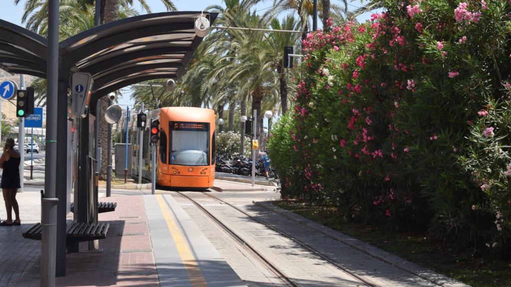 TRAM Alicante. EE