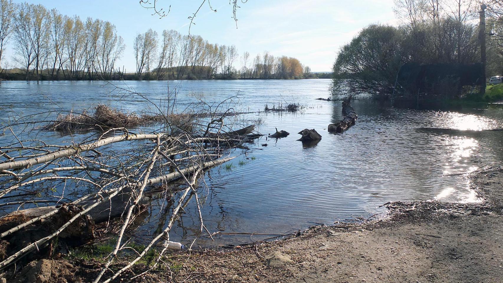 Crecida del río Tormes a su paso por la localidad salmantina de Cabrerizos
