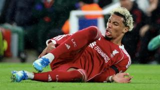 Hugo Ekitike, tras sufrir una grave lesión con el Liverpool.