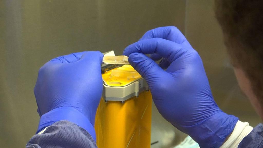 Un científico manipula chips de órganos del proyecto AVATAR después de que estos viajaran alrededor de la Luna a bordo de la nave Orion.