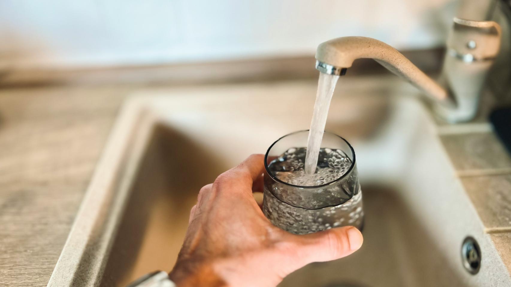 Grifo de agua. 