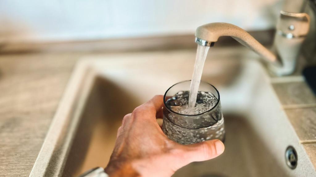 Grifo de agua. 