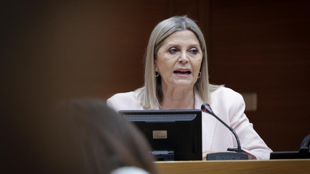 La consellera de Educación, Carmen Ortí. José Cuéllar / Corts
