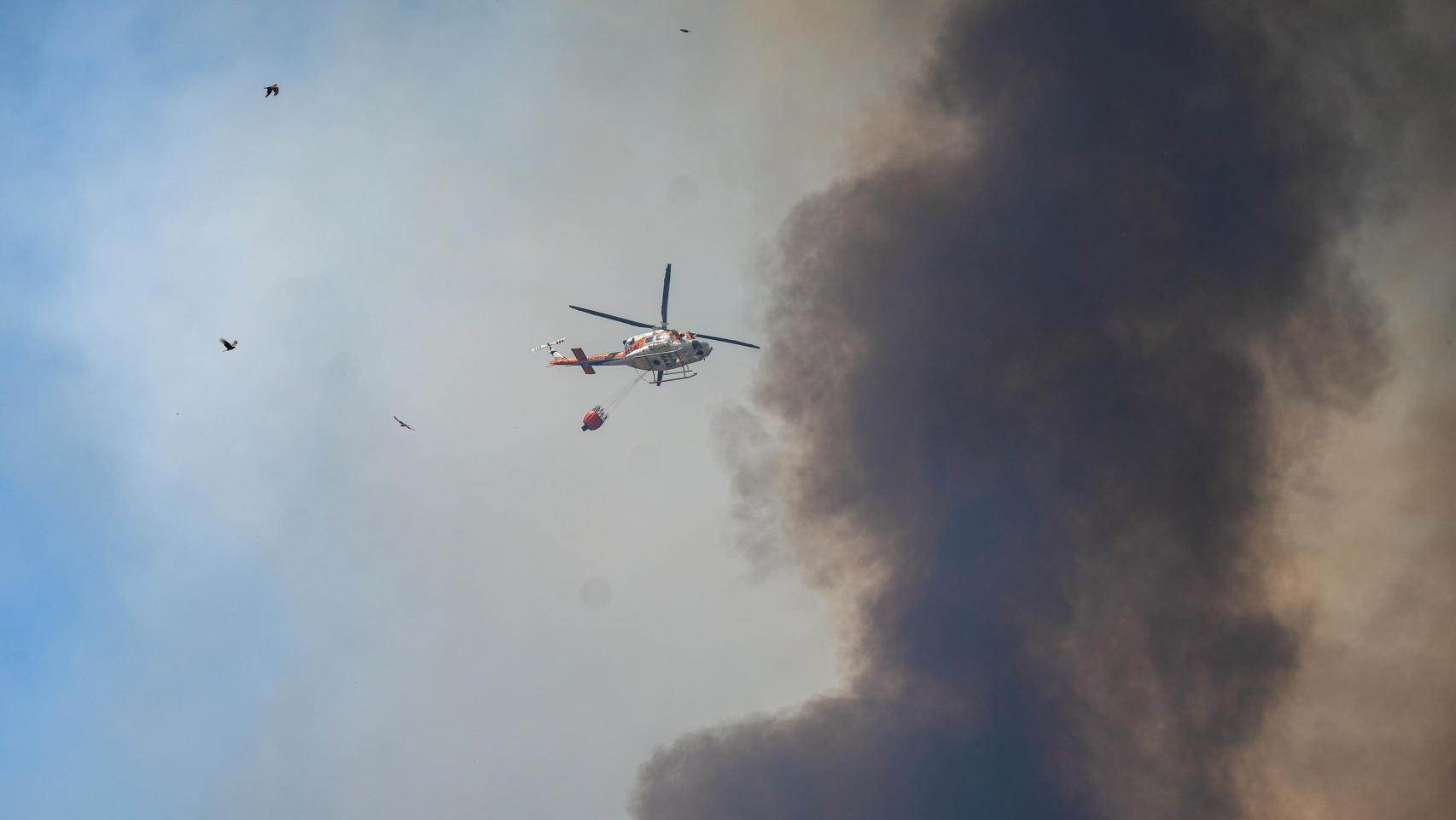 La UME se despliega en el incendio en Villanueva de los Cast