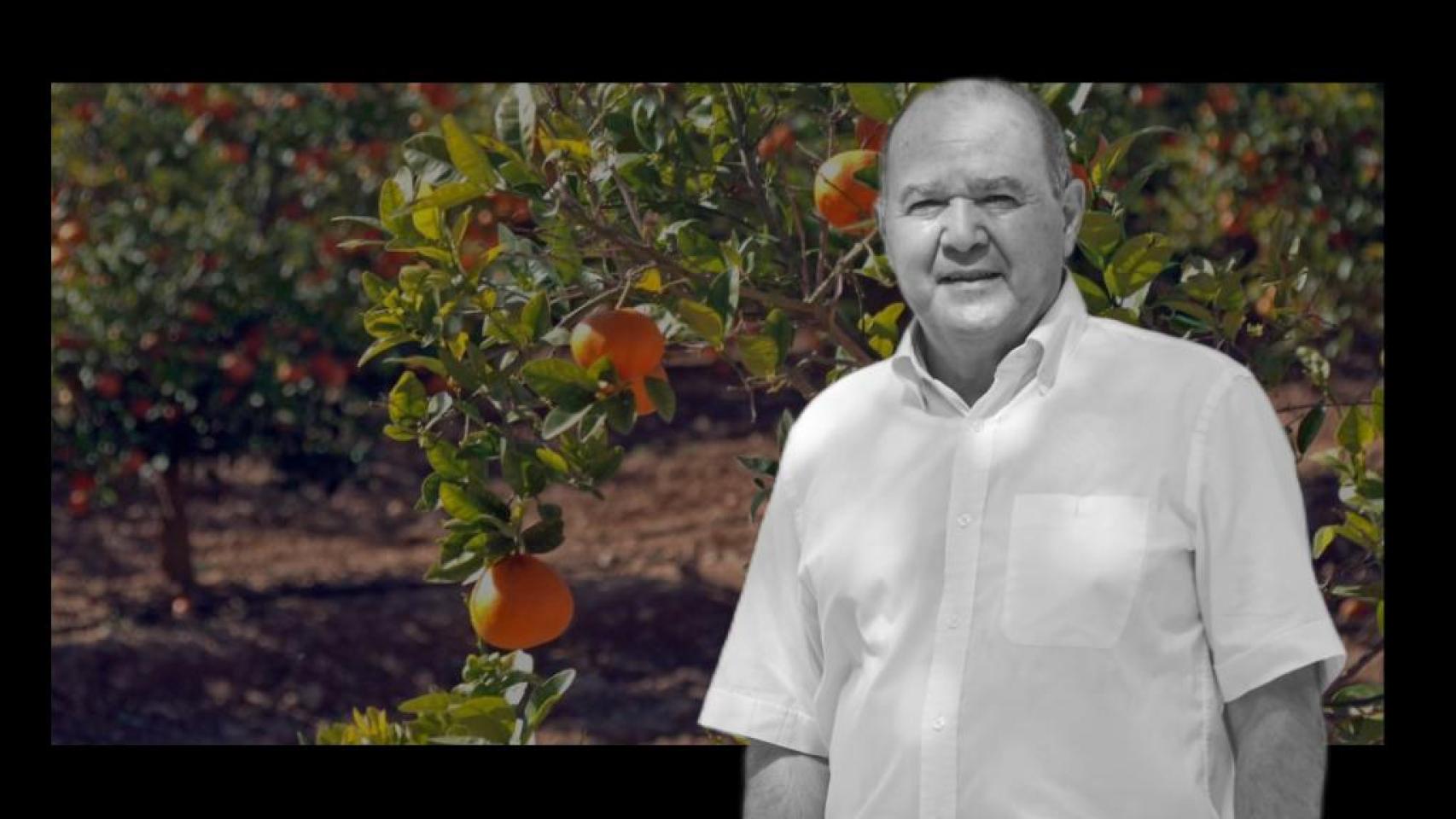 El diputado del PP de Alicante, Joaquín Melgarejo, sobre un cultivo de mandarinas.