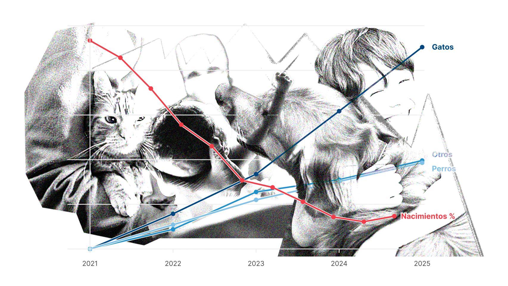 Evolución del porcentaje de nacimientos en España y el número de mascotas. 