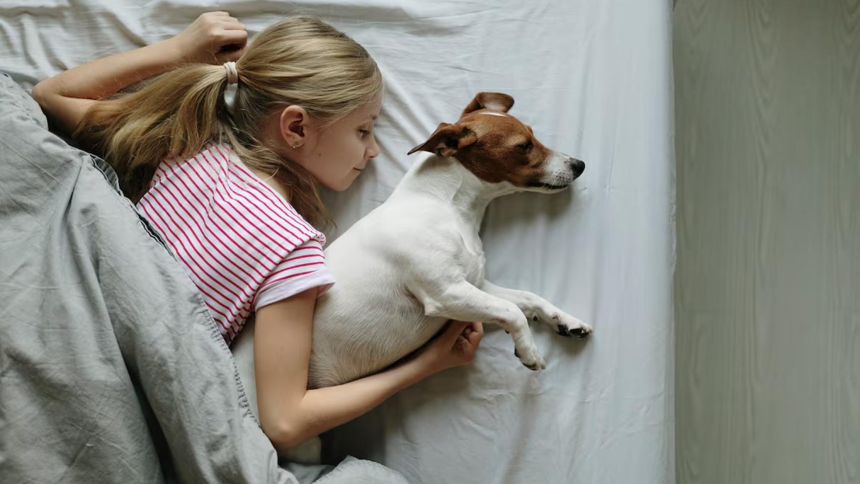 Imagen de archivo de una niña durmiendo junto a su perro.