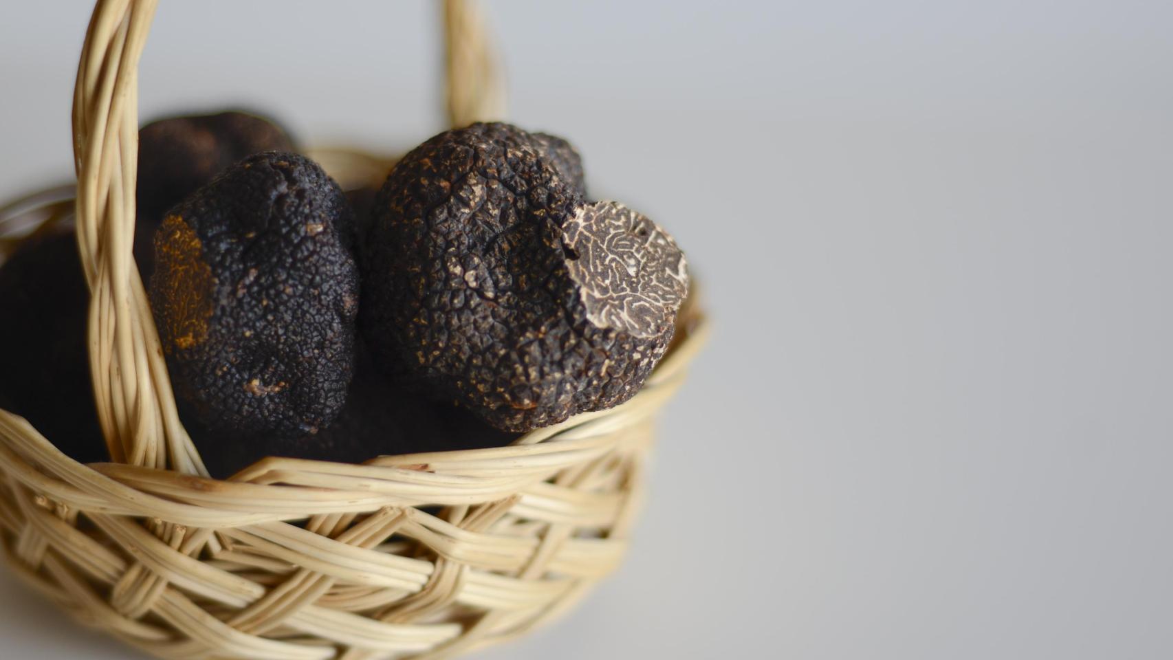 Trufa negra de Teruel.