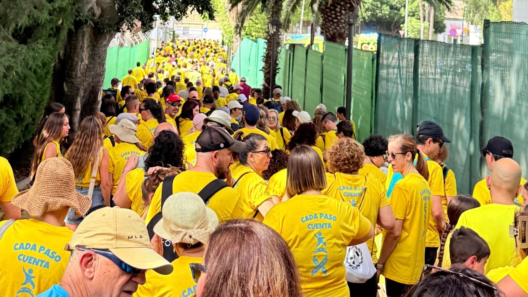 Imagen de la marea de caminantes en apoyo a la investigación del cáncer infantil.