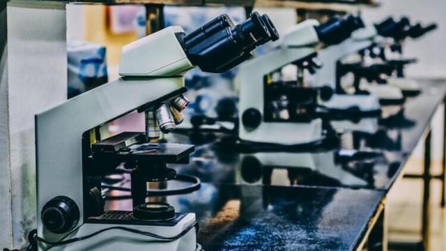 Microscopios en un laboratorio.