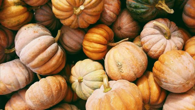 Calabazas (Unplash)