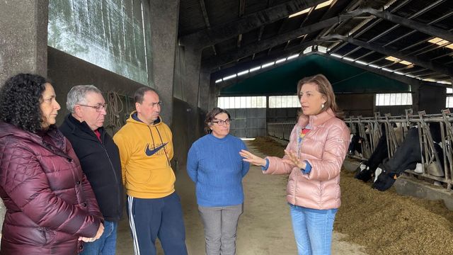 La vicepresidenta segunda en funciones, Ángeles Vázquez, visita una explotación en A Pastoriza (Lugo).