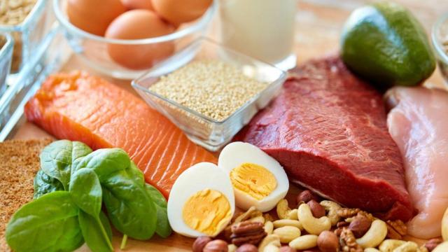 Fuentes de proteína animal y vegetal